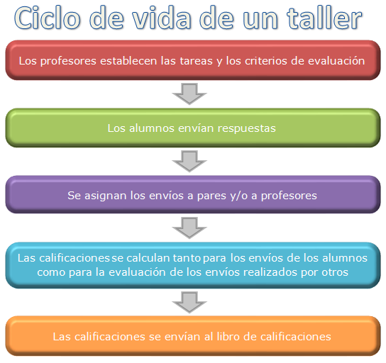 Ciclo de vida taller